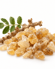 Frankincense Essential Oil - Wholesale - The SkinScience Company