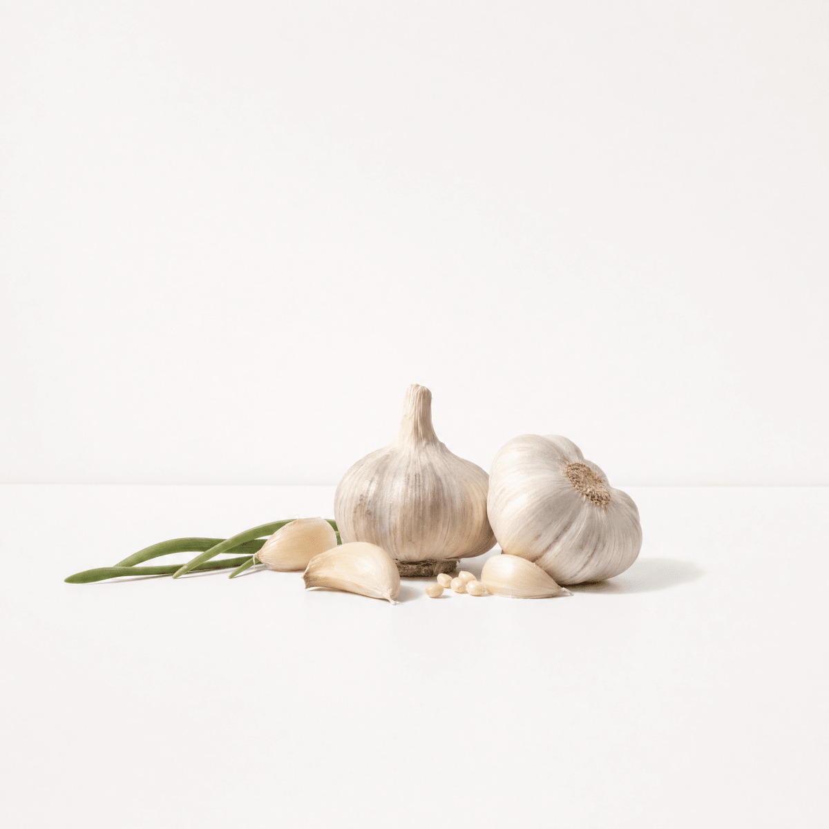 Garlic Oil - The SkinScience Company