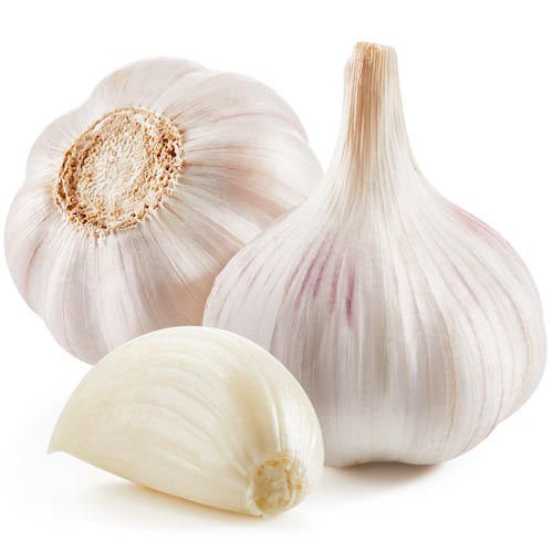 Garlic Oil - The SkinScience Company