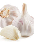 Garlic Oil - The SkinScience Company