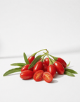 Goji Berry Oil - The SkinScience Company