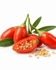 Goji Berry Oil - Wholesale - The SkinScience Company
