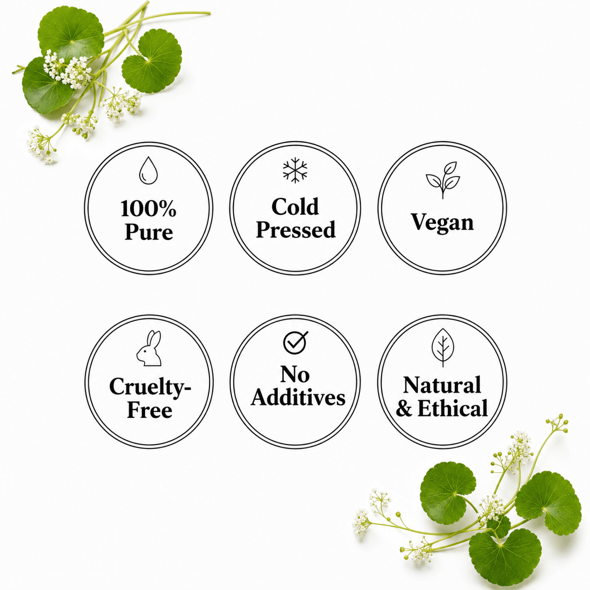 Gotu Kola Oil - The SkinScience Company