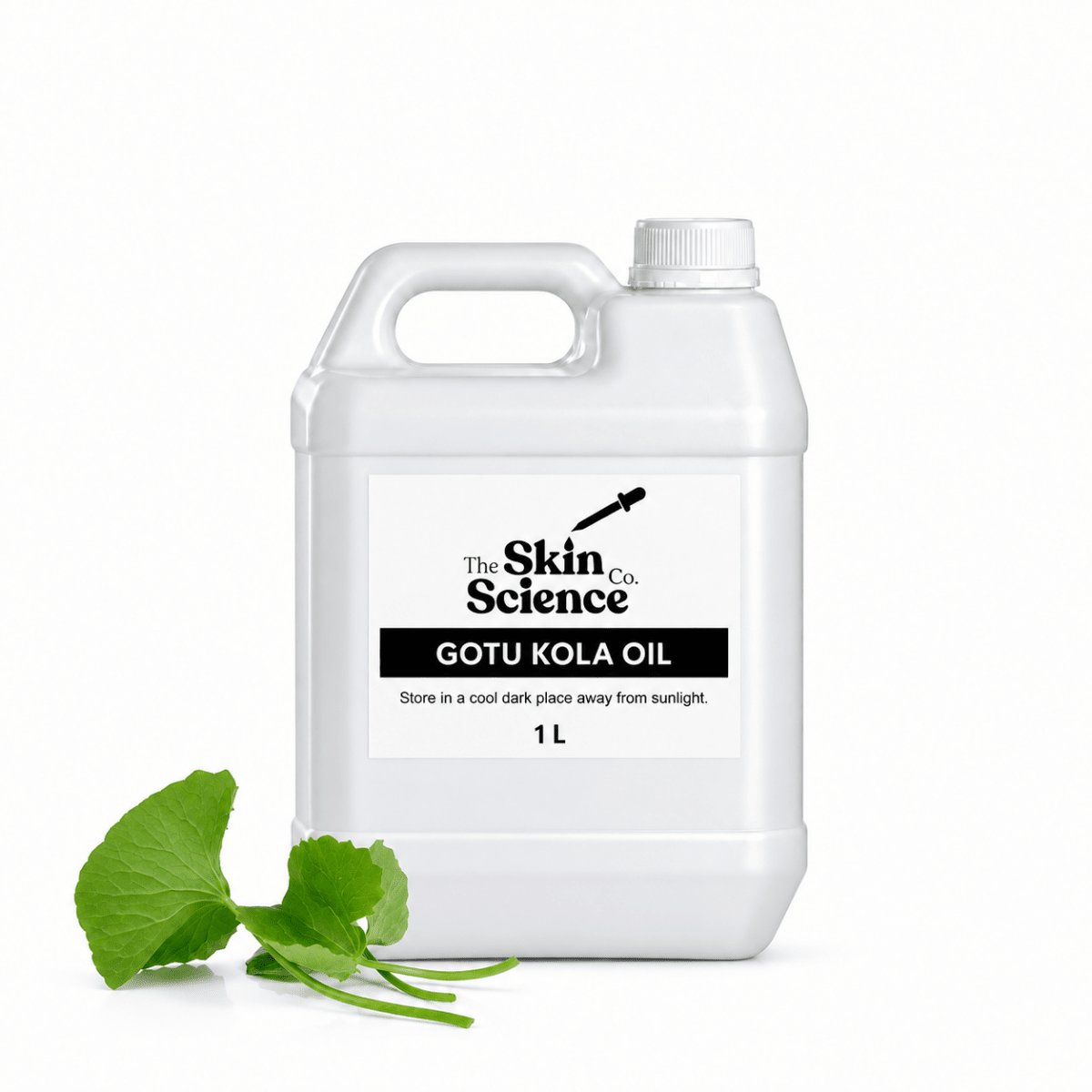 Gotu Kola Oil (bulk wholesale) 1 L, cosmetic-grade carrier oil | The Skin Science Company