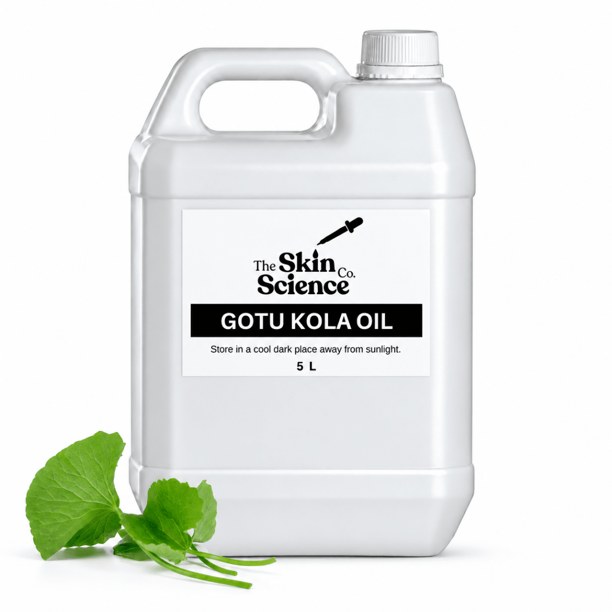 Gotu Kola Oil (bulk wholesale) 5 L, cosmetic-grade carrier oil | The Skin Science Company