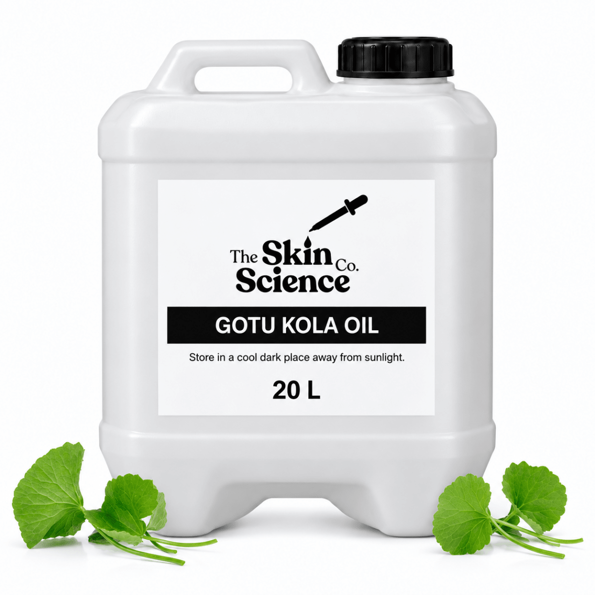 Gotu Kola Oil (bulk wholesale) 20 L, cosmetic-grade carrier oil | The Skin Science Company