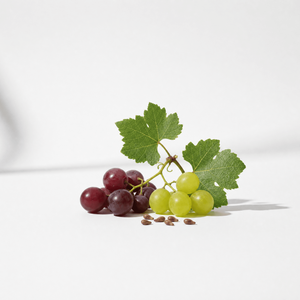 Grapeseed Oil - The SkinScience Company