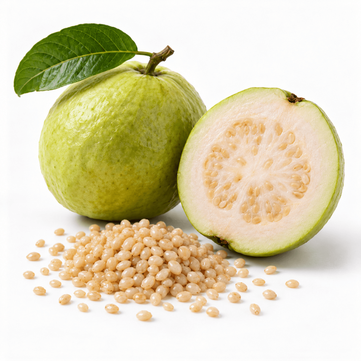 Guava Oil - Wholesale - The SkinScience Company