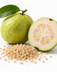 Guava Oil - Wholesale - The SkinScience Company