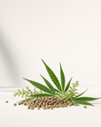 Hemp Seed Oil - The SkinScience Company