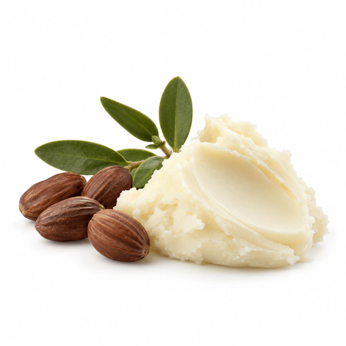Jojoba Butter - Wholesale - The SkinScience Company