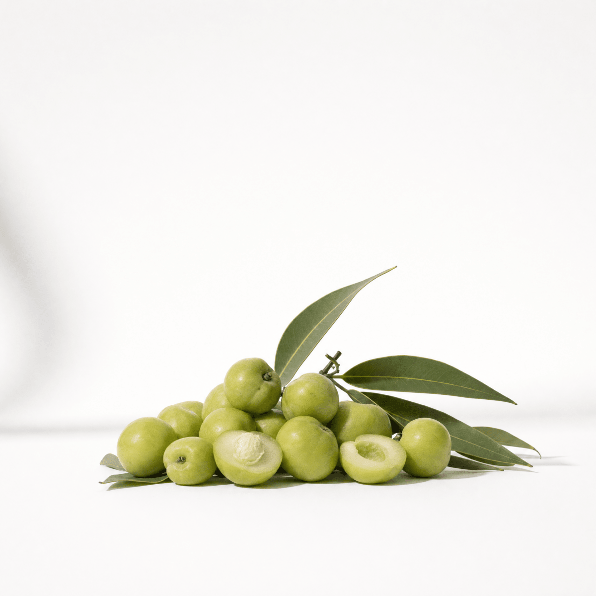 Kakadu Plum Oil - The SkinScience Company
