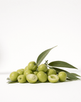 Kakadu Plum Oil - The SkinScience Company