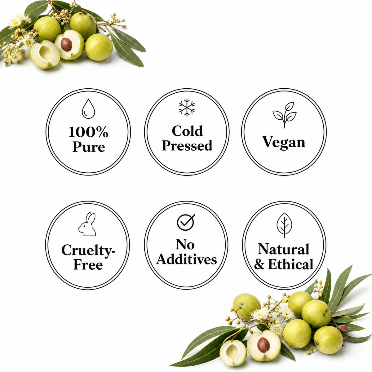 Kakadu Plum Oil - The SkinScience Company