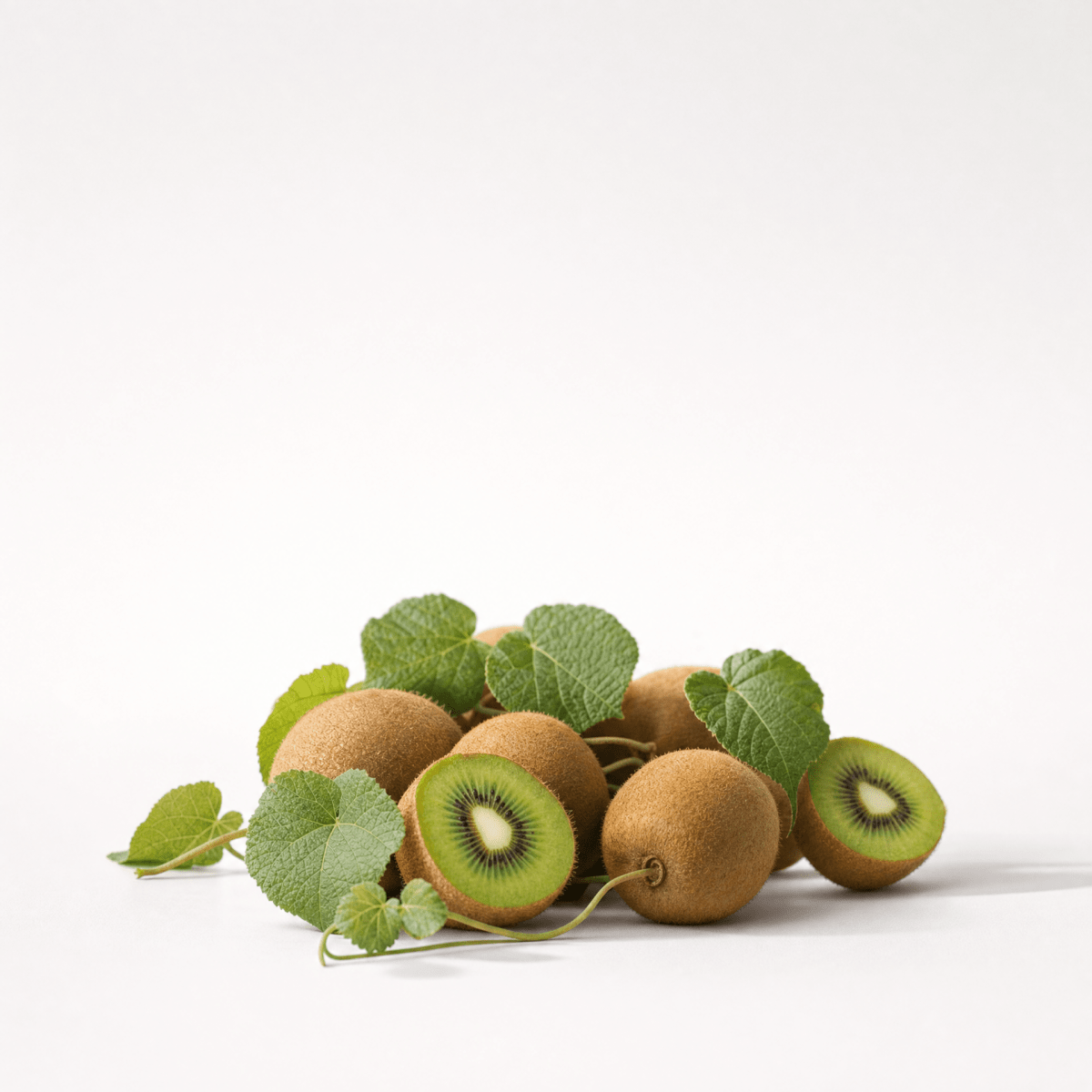 Kiwi Seed Oil - The SkinScience Company