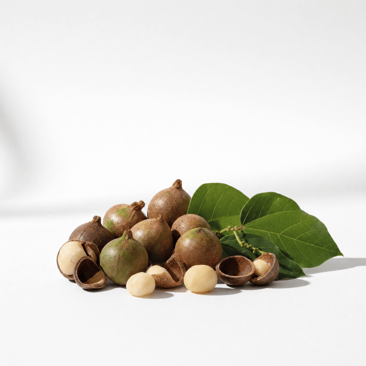 Kukui Nut Oil - The SkinScience Company