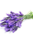 Lavender Essential Oil - The SkinScience Company