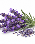 Lavender Essential Oil - The SkinScience Company