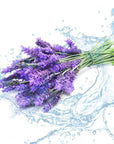 Lavender Hydrosol - The SkinScience Company