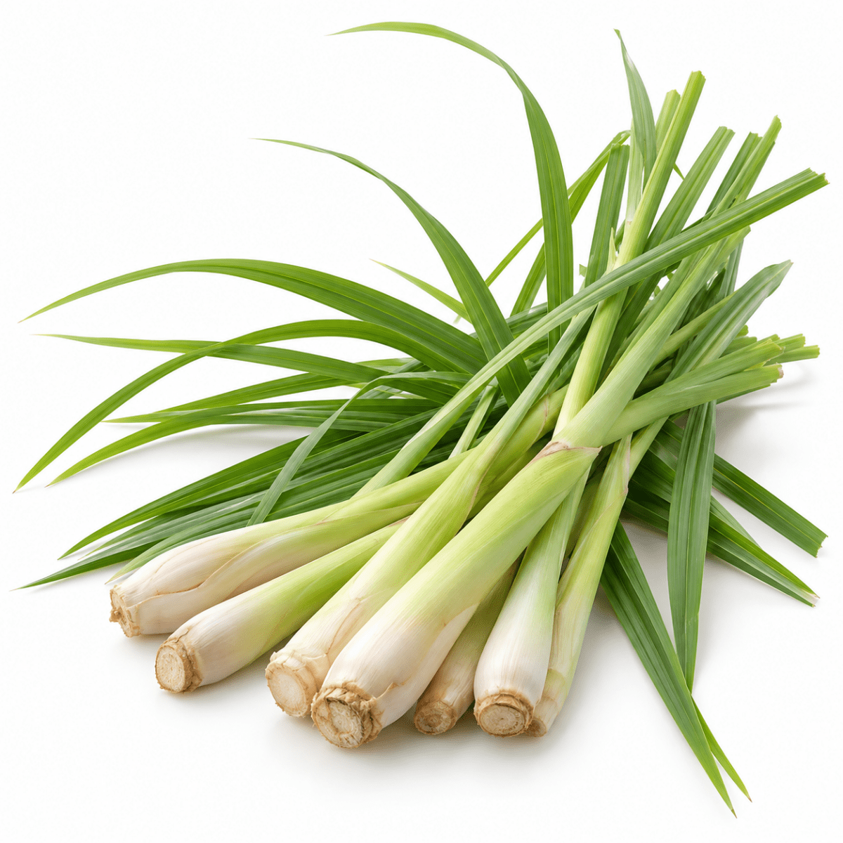 Lemongrass Essential Oil - The SkinScience Company