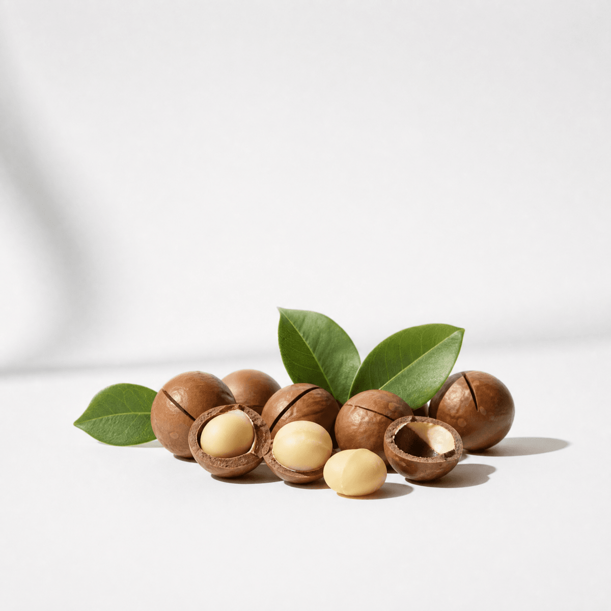 Macadamia Oil - The SkinScience Company
