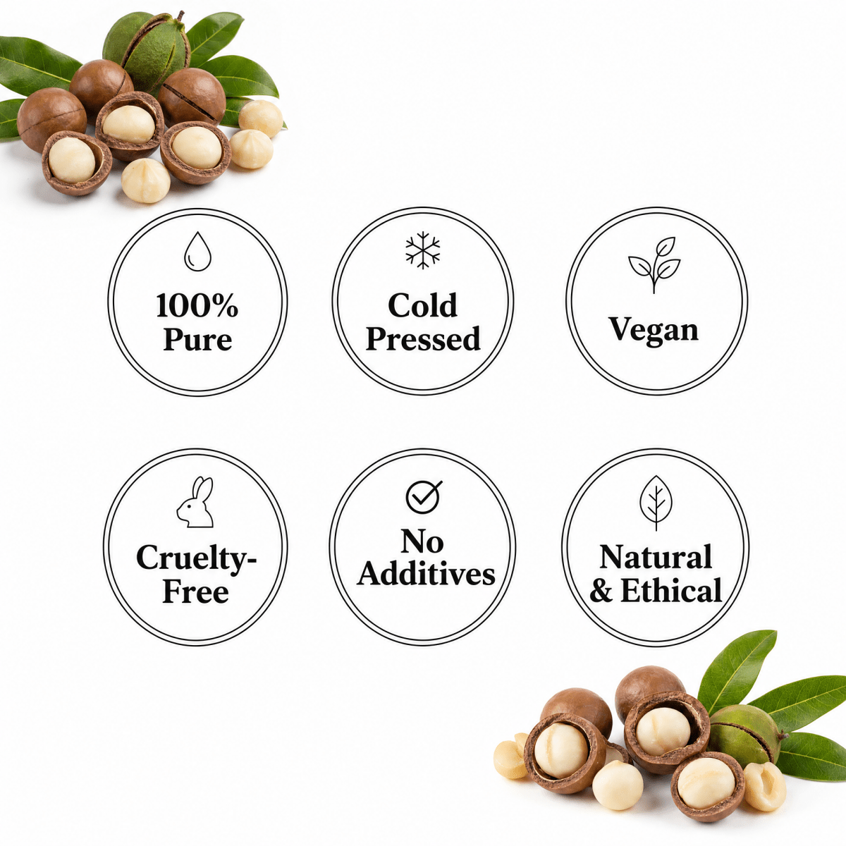 Macadamia Oil - The SkinScience Company