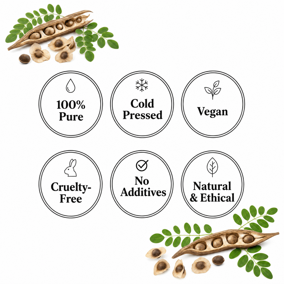 Moringa Oil - The SkinScience Company