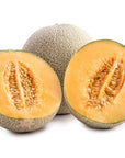 Muskmelon Seed Oil - The SkinScience Company