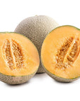 Muskmelon Seed Oil - Wholesale - The SkinScience Company