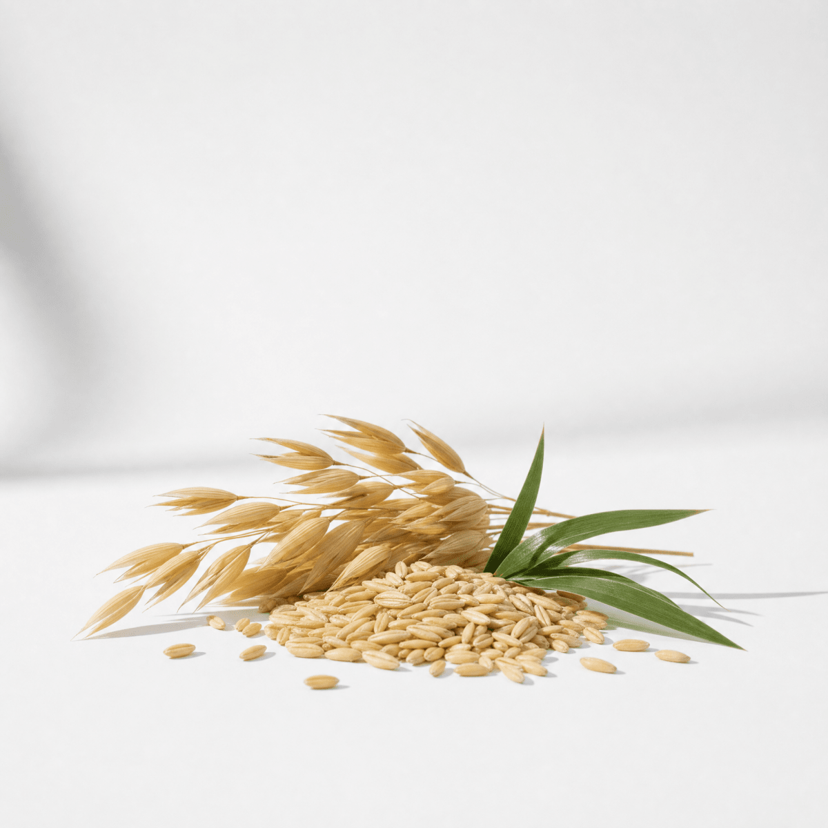 Oat Oil - The SkinScience Company