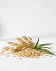 Oat Oil - The SkinScience Company