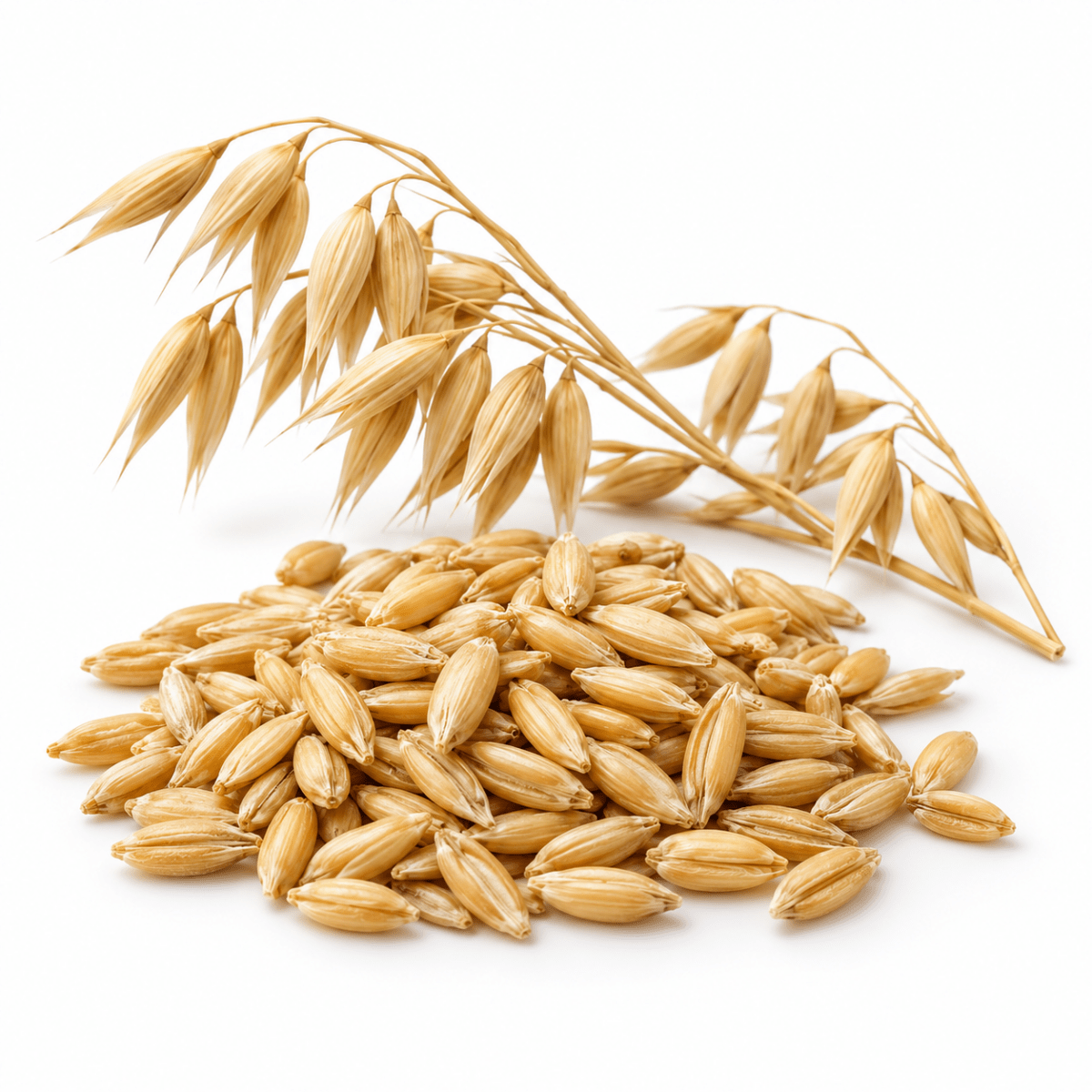 Oat Oil - Wholesale - The SkinScience Company