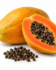 Papaya Butter - Wholesale - The SkinScience Company