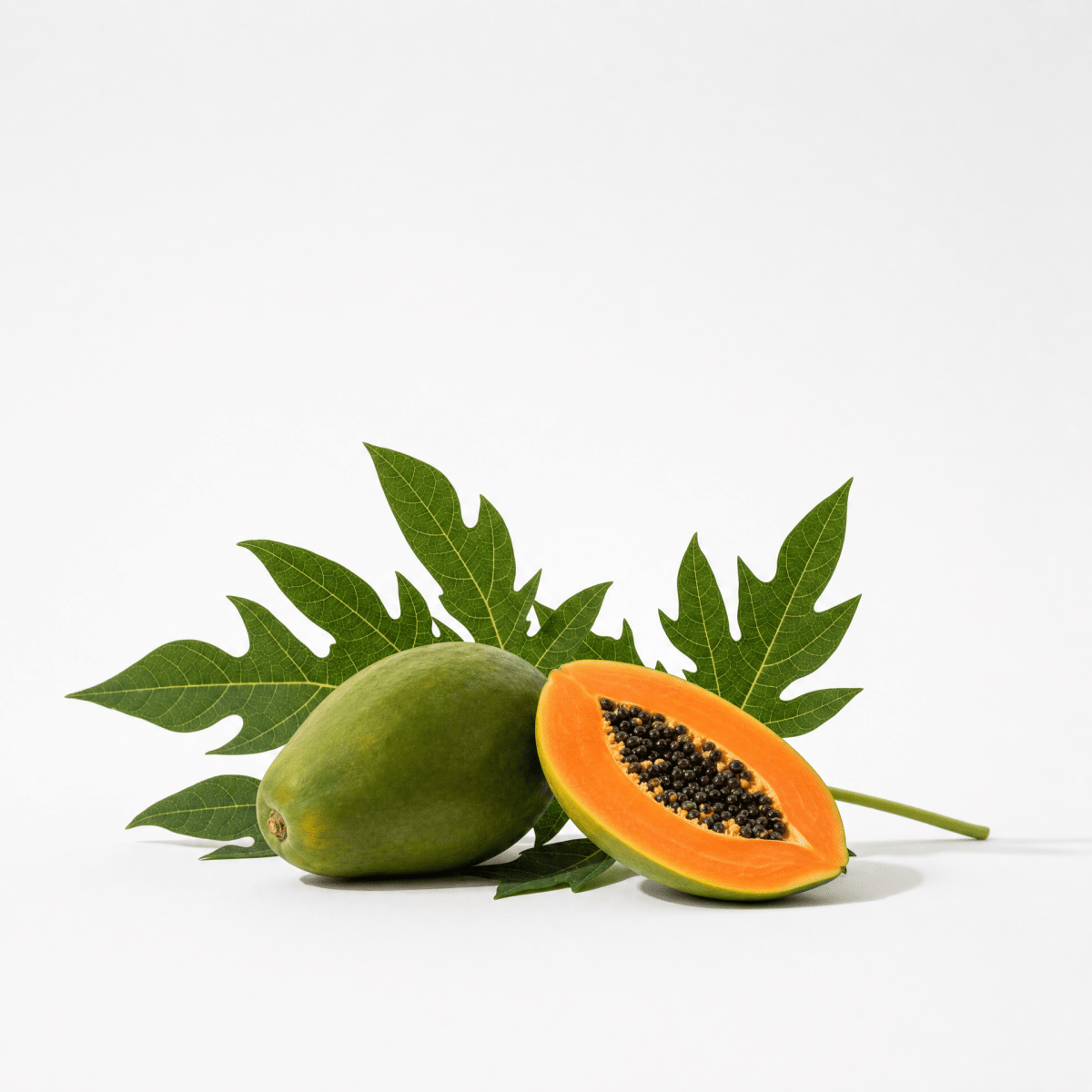 Papaya Seed Oil - The SkinScience Company