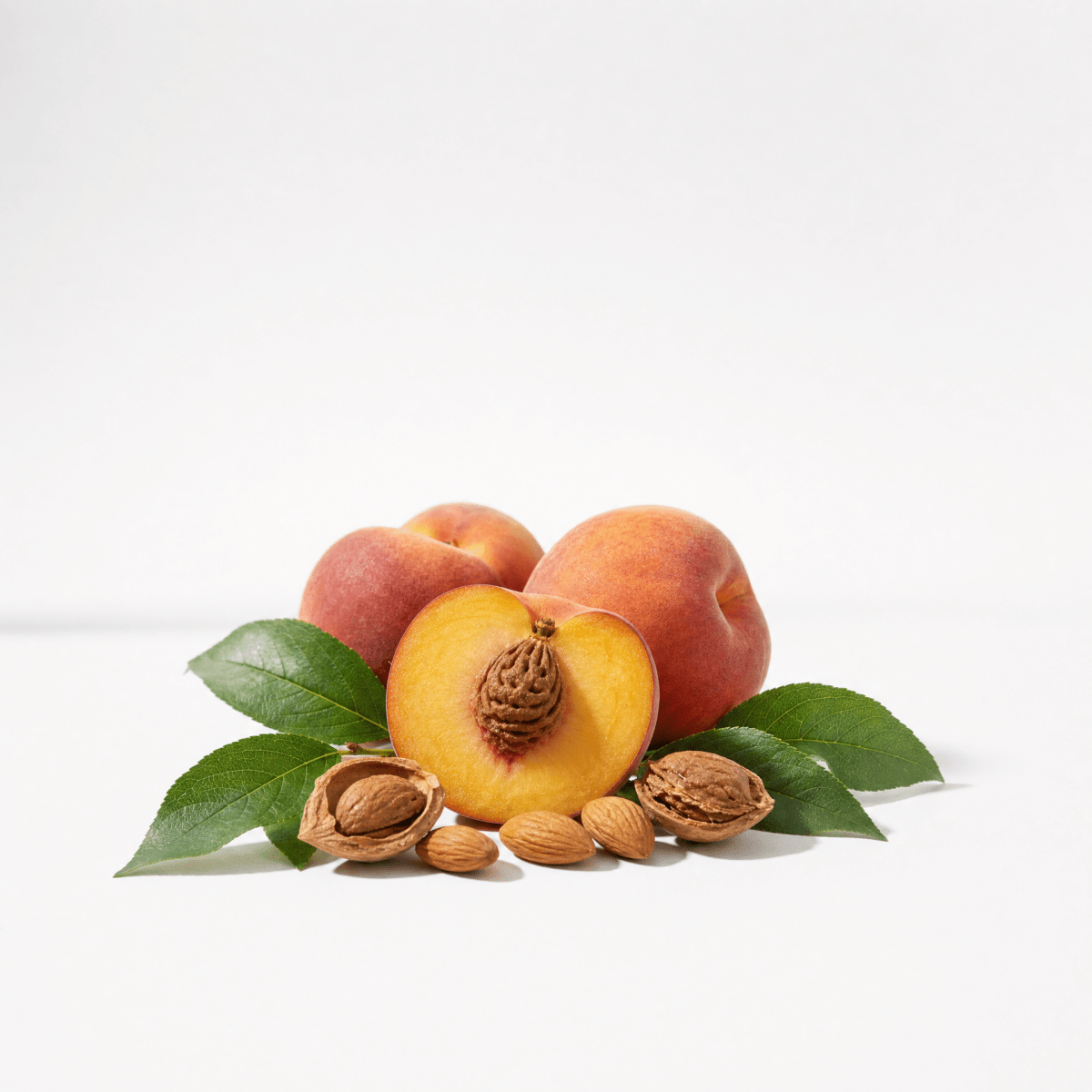 Peach Kernel Oil - The SkinScience Company