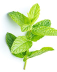 Peppermint Essential Oil - The SkinScience Company