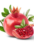 Pomegranate Seed Oil - Wholesale - The SkinScience Company