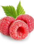 Red Raspberry Seed Oil - Wholesale - The SkinScience Company