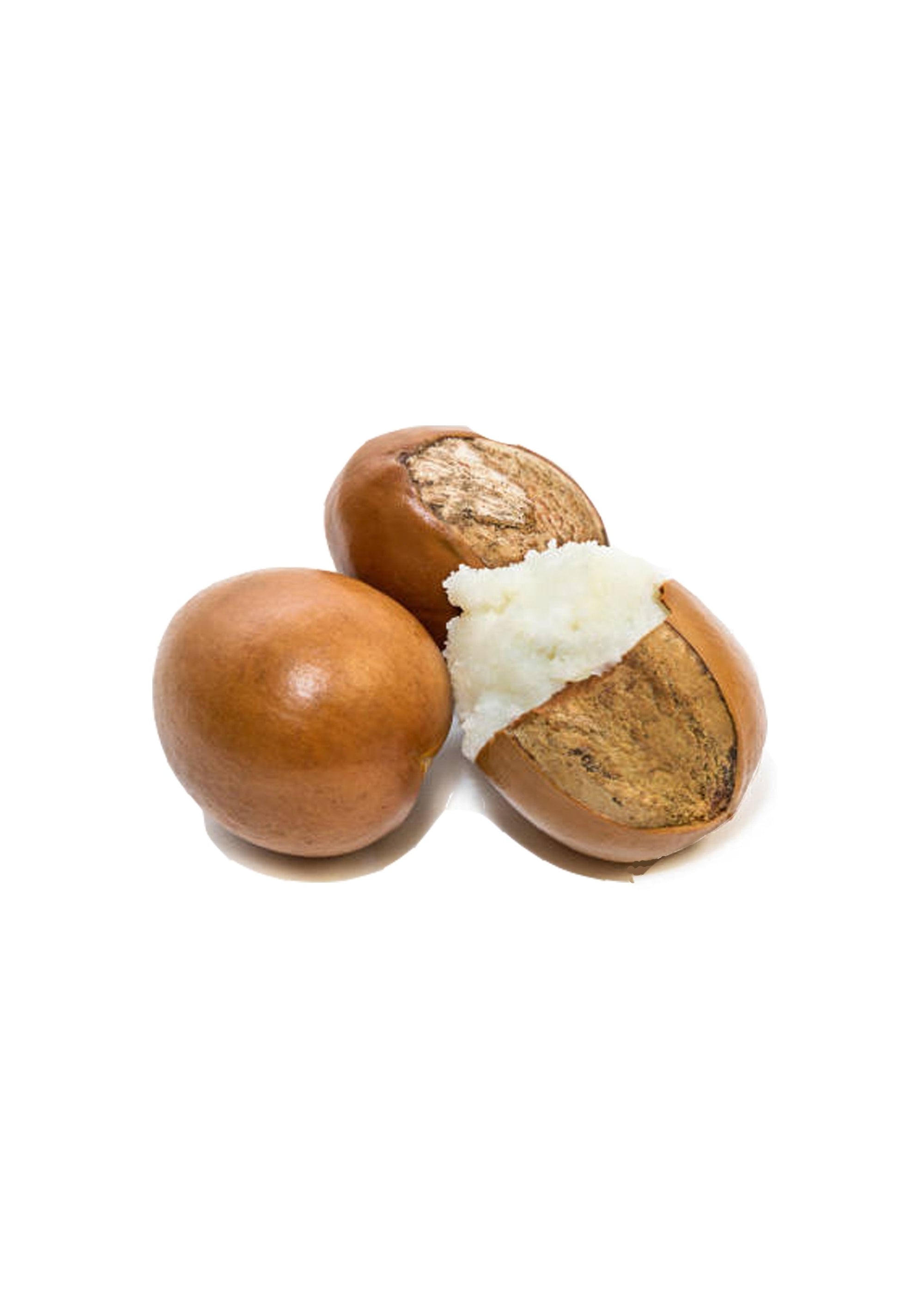 Refined Shea Butter - Wholesale - The SkinScience Company