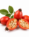 Rosehip Butter - The SkinScience Company
