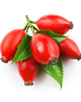 Rosehip Oil - The SkinScience Company