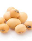 Soybean Oil - The SkinScience Company