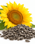 Sunflower Oil - The SkinScience Company