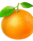 Tangerine Essential Oil - The SkinScience Company