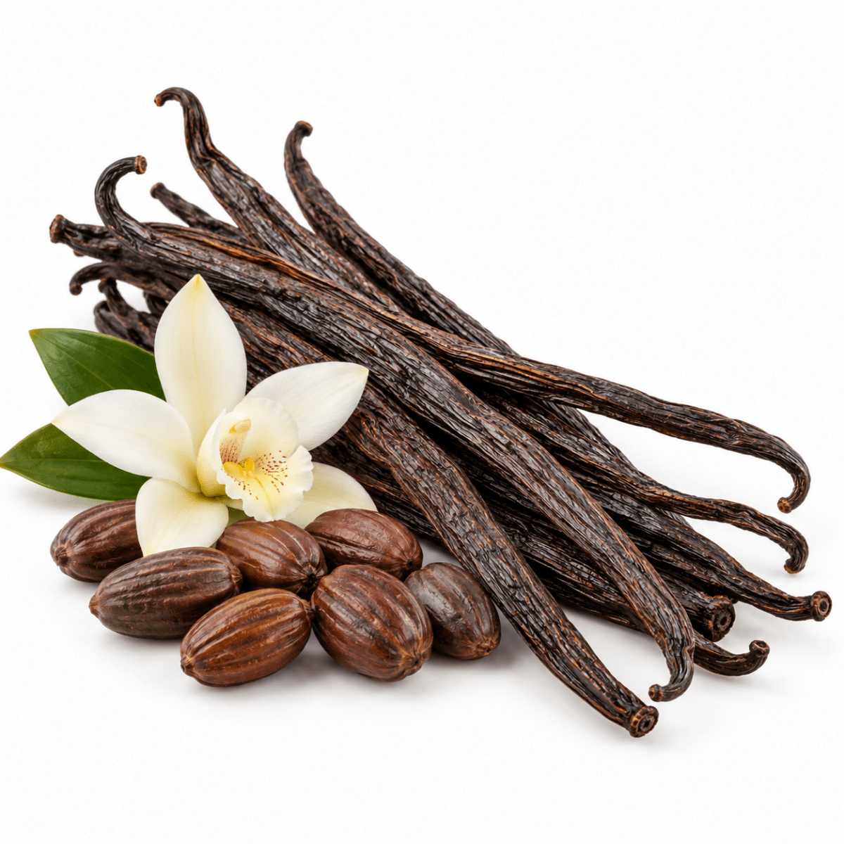 Vanilla Infused Oil - Wholesale - The SkinScience Company