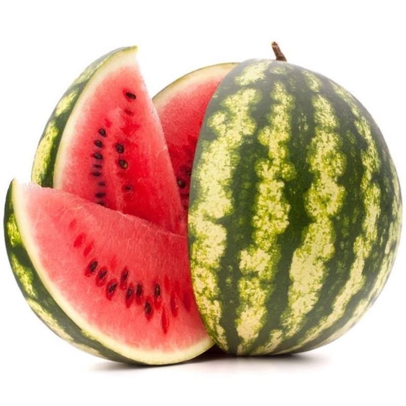 Watermelon Seed Oil - Wholesale - The SkinScience Company