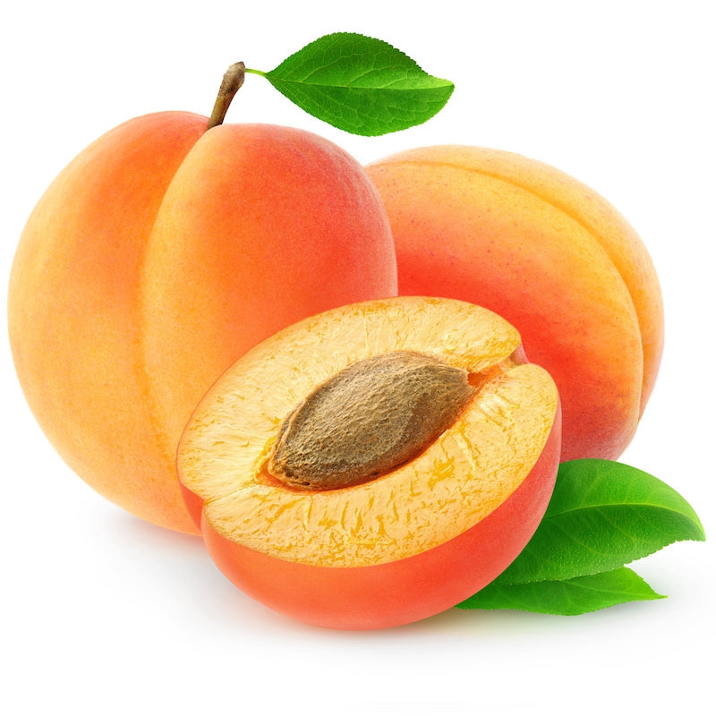 Apricot Kernel Oil - Wholesale