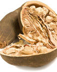 Baobab Seed Oil - Wholesale