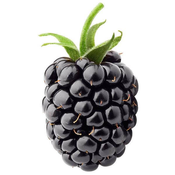 Blackberry Seed Oil