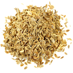 Carrot Seed Oil - Wholesale